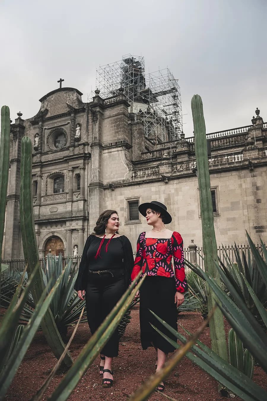 Artistic composition with natural light